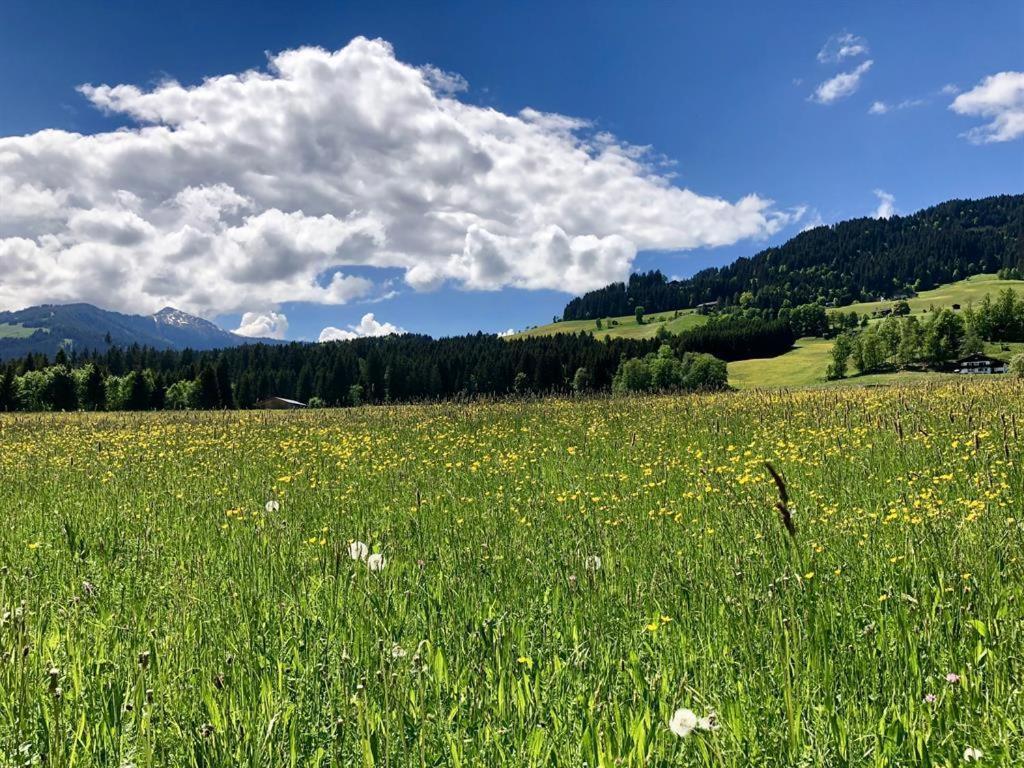 Pension Heidelberg - Fam Fuchs ホップフガルテン・イム・ブリクセンタール エクステリア 写真